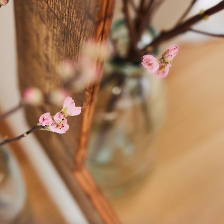 Casamartini Bed & Breakfast Fonte Екстер'єр фото